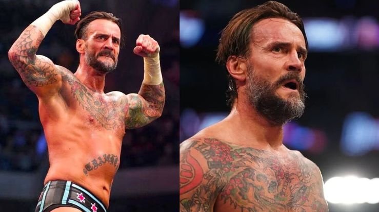 CM Punk MMA Salary