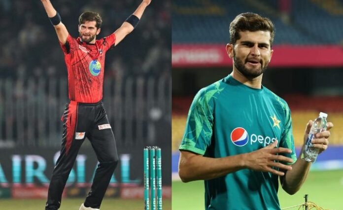 Shaheen Afridi Net Worth