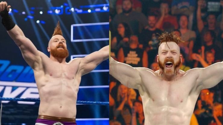 Sheamus Net Worth