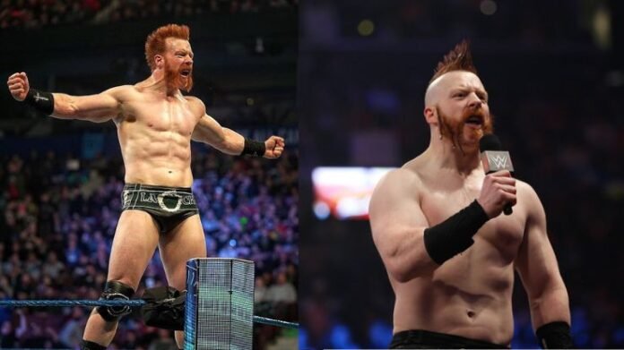 Sheamus Net Worth